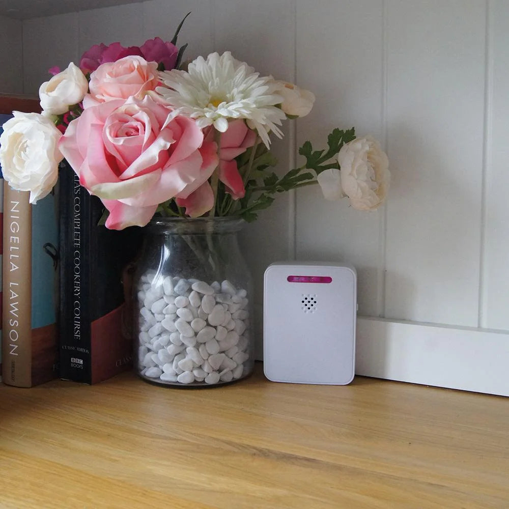 Doorbell with Driveway Monitor for Enhanced Home Security